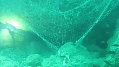 Karadeniz'deki Hayalet Ağlar Ekosistemi Tehdit Ediyor