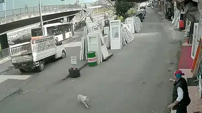 Üniversite Öğrencisi Kaçış Denemesi Sırasında Otobüsle Çarpıştı