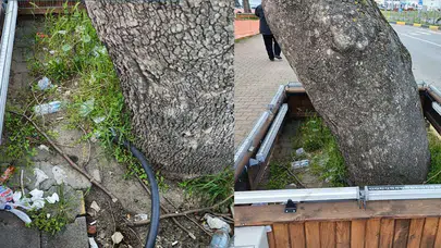Trabzon'da Işıklandırma Sorunu İntihar Meraklısı Yapıların Gölgesinde