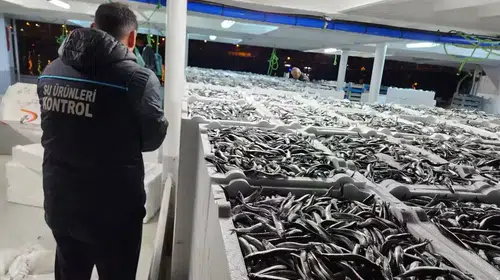 Trabzon'da Hamsi Avcılığı Denetimleri İle Sürdürülebilirlik Sağlanıyor