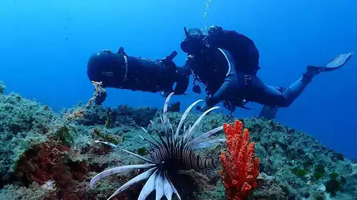 Kuşadası'nda Tarih ve Doğanın Buluşması: Unutulmaz Turizm Deneyimleri!