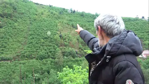 Giresun'da Feci Kaza: Kontrolden Çıkan Araç Yamaçtan Aşağı Düştü!