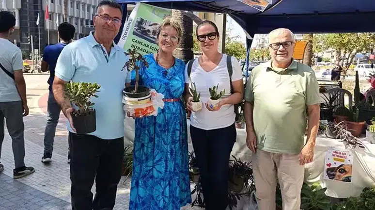 Nazili'de emekli öğretmenden sokak hayvanları için kermes