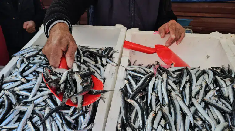 Ortahisar'da Deniz Ürünleri Fiyatlarında Dikkat Çeken Yükseliş!
