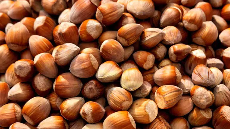 Trabzon'da Fındık Piyasasında Yeni Fiyatlar Belirlendi!