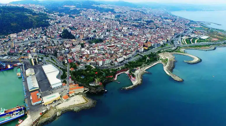 Doğu Karadeniz'de 2025 Konut Satışları: Ordu ve Trabzon Lider Konumda