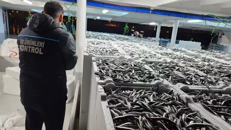 Trabzon'da Hamsi Avcılığı Denetimleri İle Sürdürülebilirlik Sağlanıyor