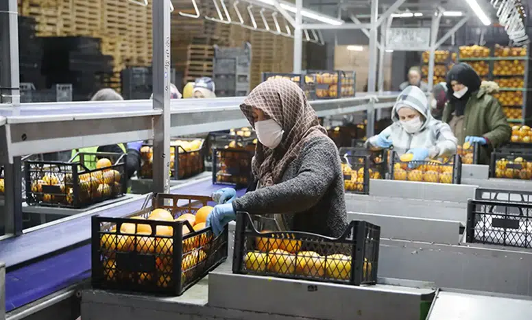 Saraylım Tarım, İflas Tehdidi Altında Konkordato Talep Etti