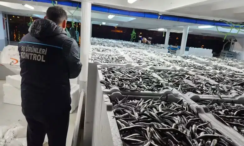 Trabzon'da Hamsi Avcılığı Denetimleri İle Sürdürülebilirlik Sağlanıyor