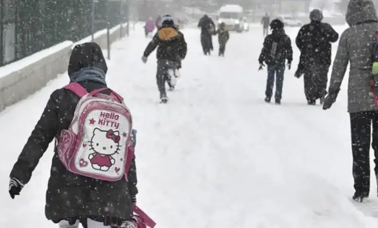Ordu'da Yoğun Kar Nedeniyle 13 İlçede Eğitime 1 Gün Ara Verildi