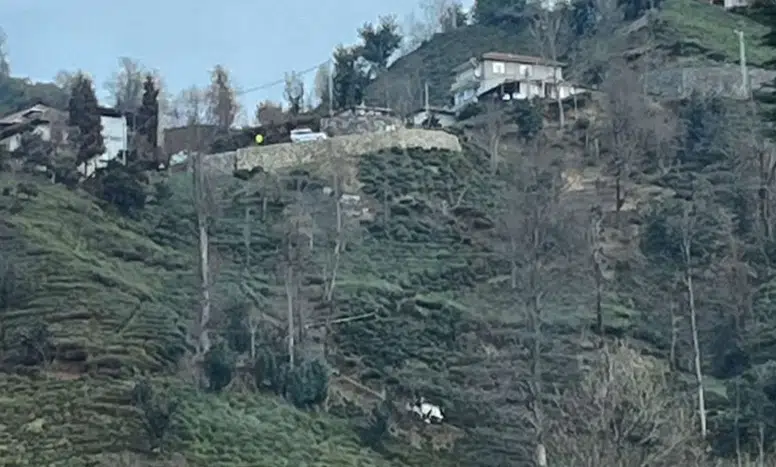 Güneysu'da Eski Muhtar Mercan, Kontrolden Çıkan Aracıyla Uçuruma Düştü