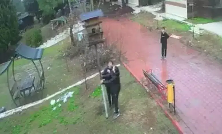 Adana'da Küçükler Dinozor Park'ta Kuş Yuva Yıkarak Doğaya Zarar Verdi!