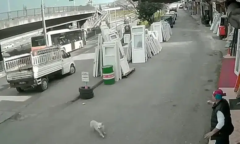 Üniversite Öğrencisi Kaçış Denemesi Sırasında Otobüsle Çarpıştı