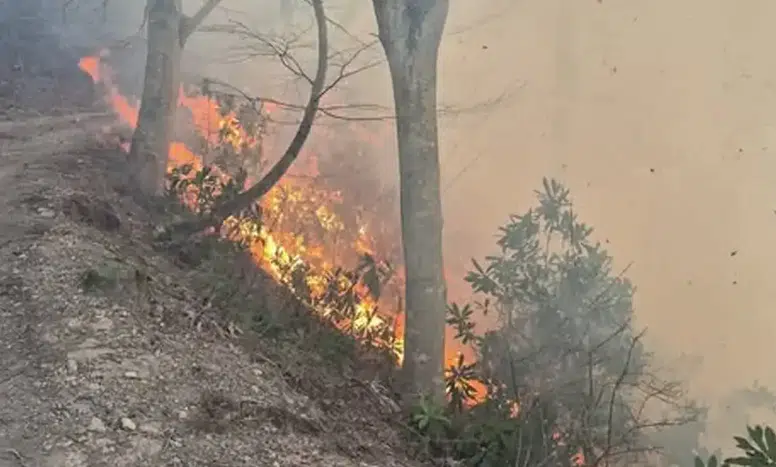 Trabzon'da 35 Noktada Çıkan Örtü Yangınları Kontrol Altına Alındı