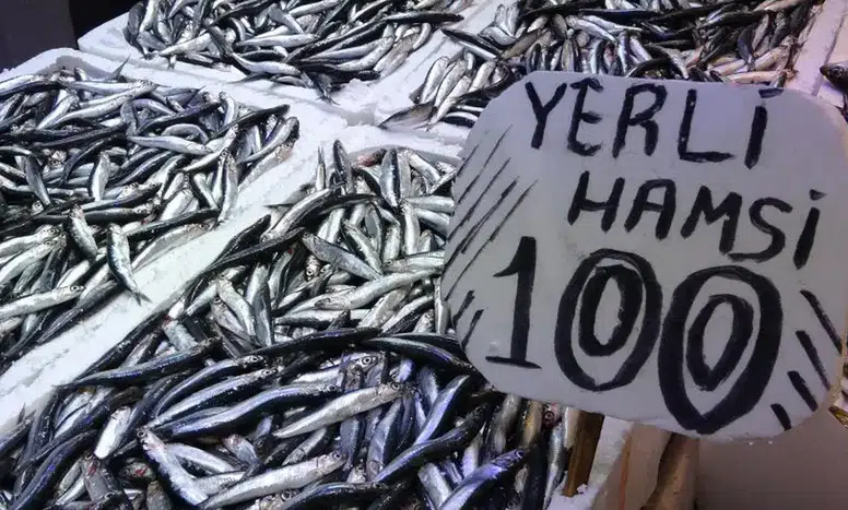 Karadeniz'de Hamsi Avı Sezonu Rekor Kırdı, Tezgahlarda Bolluk Var!