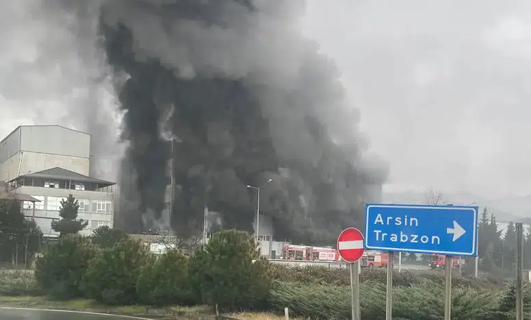 Arsin'de Fındık Fabrikasında Yangın: Ekipler Seferber Oldu