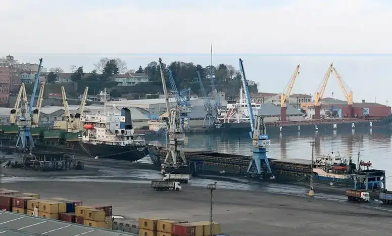 Trabzon Limanı'nda 19 Yasadışı Yaban Hayvan Trofesi Ele Geçirildi!