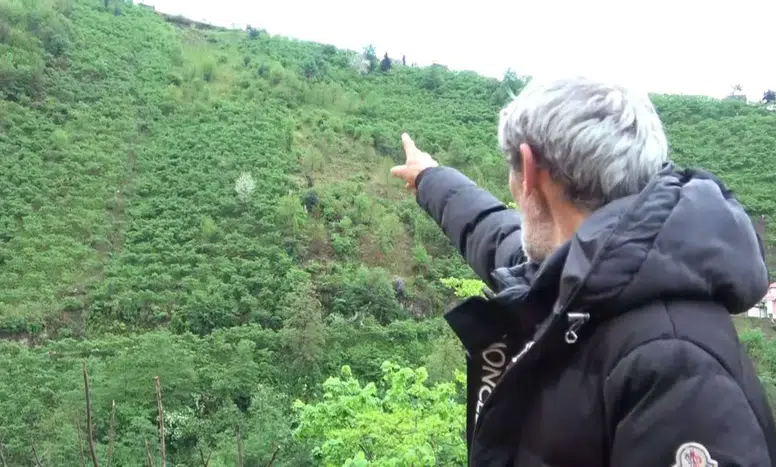 Giresun'da Feci Kaza: Kontrolden Çıkan Araç Yamaçtan Aşağı Düştü!