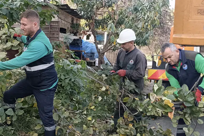 Trabzon'da Kışa Hazırlık: Ağaç Budama Ve Bakım Çalışmaları Başladı
