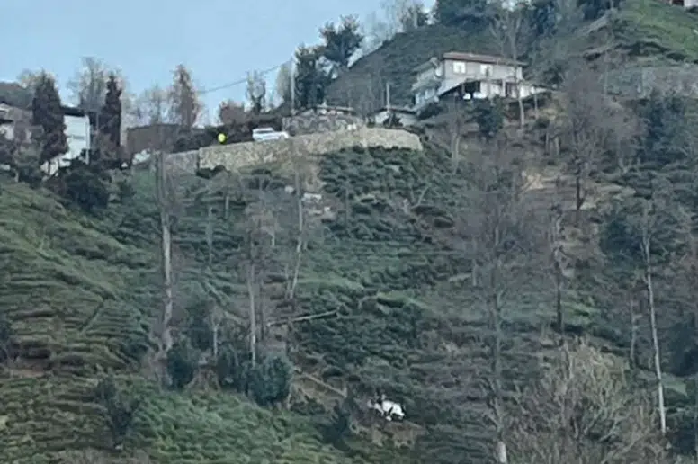 Güneysu'da Eski Muhtar Mercan, Kontrolden Çıkan Aracıyla Uçuruma Düştü