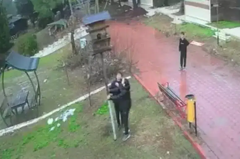 Adana'da Küçükler Dinozor Park'ta Kuş Yuva Yıkarak Doğaya Zarar Verdi!