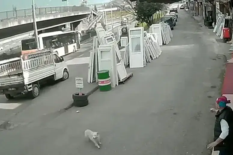 Üniversite Öğrencisi Kaçış Denemesi Sırasında Otobüsle Çarpıştı