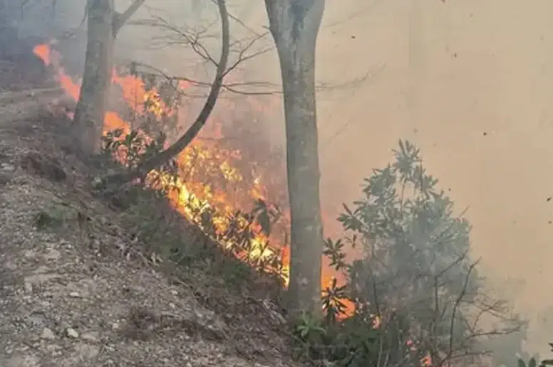 Trabzon'da 35 Noktada Çıkan Örtü Yangınları Kontrol Altına Alındı