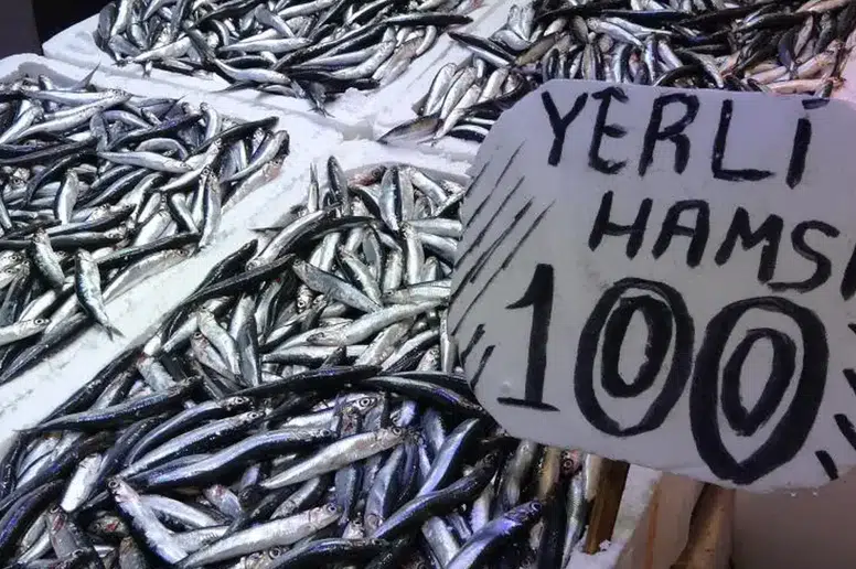 Karadeniz'de Hamsi Avı Sezonu Rekor Kırdı, Tezgahlarda Bolluk Var!