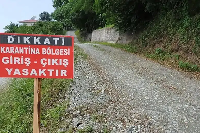 Araklı'da Şap Hastalığına Karşı 10 Km'lik Karantina Başlatıldı