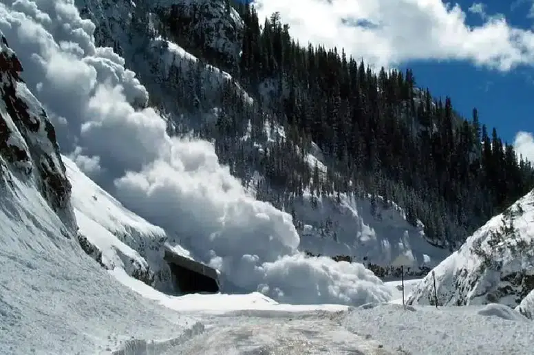 Trabzon ve Doğu Karadeniz'de Çığ Tehlikesine Karşı Uyarılar Yapıldı