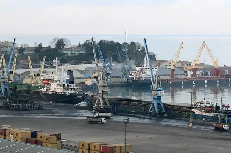 Trabzon Limanı'nda 19 Yasadışı Yaban Hayvan Trofesi Ele Geçirildi!