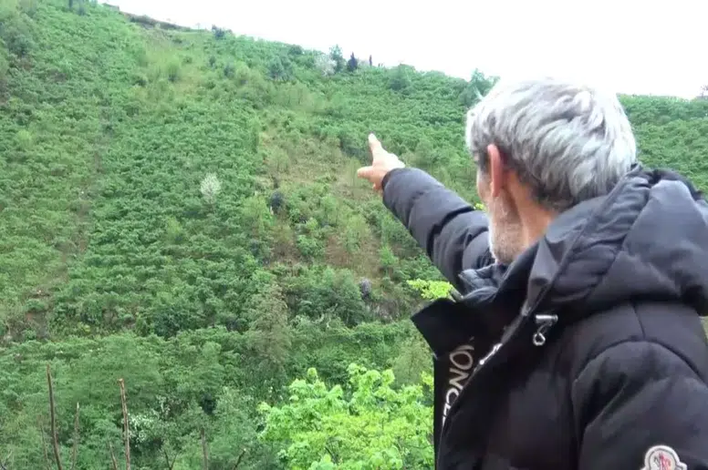 Giresun'da Feci Kaza: Kontrolden Çıkan Araç Yamaçtan Aşağı Düştü!