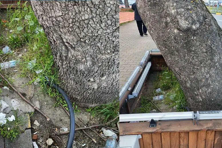 Trabzon'da Işıklandırma Sorunu İntihar Meraklısı Yapıların Gölgesinde