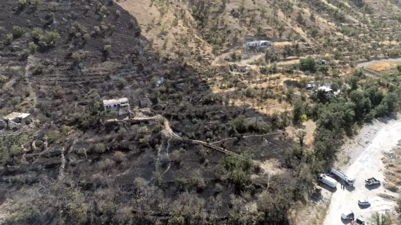 İçerik Resmi