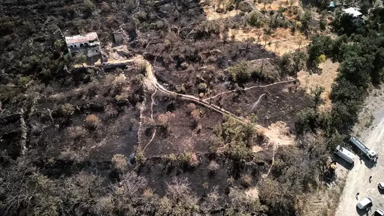 İçerik Resmi